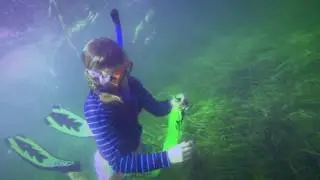 Florida Scalloping - Citrus County