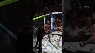 Mauricio Ruffy spinning wheel kick knock out! @ufc