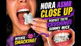 Nora ASMR Close Up Perfect Teeth Crushing Soft Gummy Mice & Candy Bars Alternately Intense Smacking