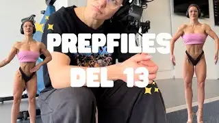 PREPFILES, DEL 13