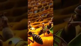 #shorts #viral #nature # Sri Lanka #Trending # cartoon #beautiful