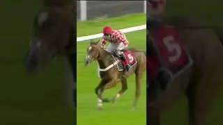 How good is your balance? #horse #horseracing #racingtv