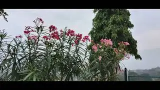 Relax in Palghat - Gem of Kerala