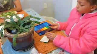 BEST BLOCK CRAYONS! Stockmar 16 Blocks Waterproof Beeswax Paint Blocks in Tin Box