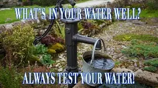 What is in your well water? Bacteria? Test kit review and DIY test instructions.