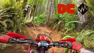 DC Trail #69 - Diamond Mill OHV  | Tillamook State Forest Single Track