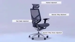 GTCHAIR | Stylish Tender Form Ergonomic Office Chair | GT CHAIR