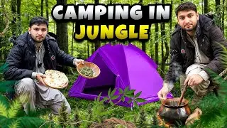 One day jungle camping Adventurer 🌲|Camp setup and cooking in jungle #Camping #viral#vlog 