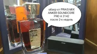 Обзор Динамика Анкер Sound Core Pro A3142 после двух недель использования (PRAIS-MIX)