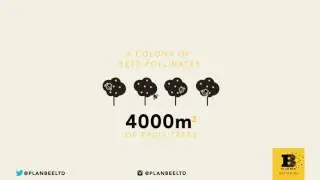 Plan Bee Ltd - Motion Infographics (honey bee facts)