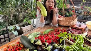 Harvesting Cherry tomatoes My Another Veggie garden ❤️❤️