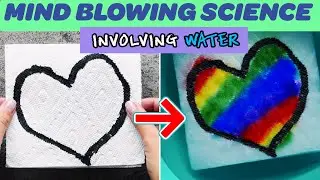 6 Fun Water Science Experiments! | Expulsion Science