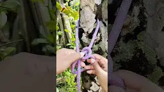 A beautiful and fast knot! #outdoors #survival #ropeskills #knot #fyp
