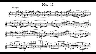 David Popper - Op.73, &Eacute;tude No.12 Hohe Schule des Violoncello-Spiels