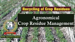 Agronomical crop residue management