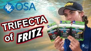 Best anti-parasitic medications for YOUR aquarium with Freshwater Joe