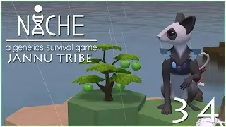 Returning to the Sea... &bull; Niche: Jannu Tribe - Episode #34