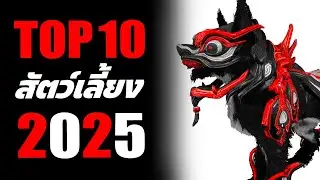 TOP 10 สัตว์เลี้ยง 2025【 WARFRAME 】** คหสต. ลุงแมว **