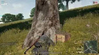 V3N0M and Blitz eat all the chicken!
