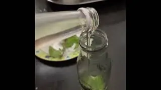 All favourite &ldquo;Mojito&rdquo; all love to drink this easy to make