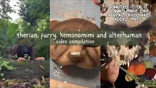 Therian, furry, kemonomimi, alterhuman, and quadrobist video compilation 🪲🌱 #therian #furry 