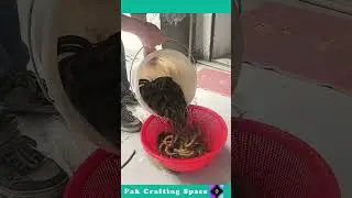 The Process Of Putting A Snake In A Basket