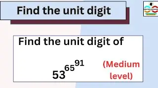 Find the unit digit of 53^65^91