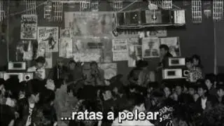 Eutanasia  Ratas Callejeras