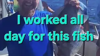 Trigger fish #deepseafishing #partyboat #panamacity #fishingrodeo @frugalmanoutdoors 
