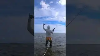Sight casting a large Bonefish