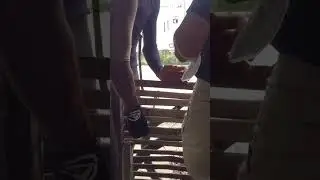 posting this from jail