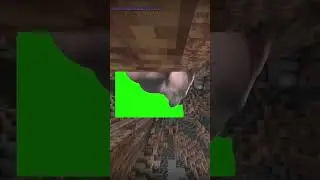 When a minecraft player using x-ray sees a blue pixel