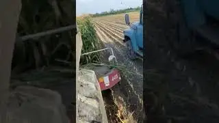 TAREKS TK 60 63 силос ориш заранее 99 759 55 55