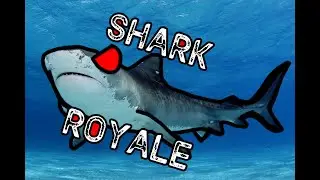 Hungry Shark Evolution Battle Royale!