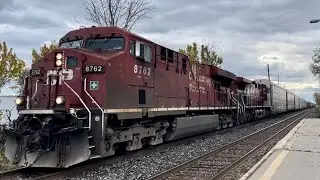 CP 234 Galt Sub 11/3/21