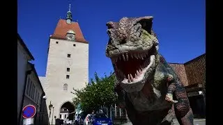 Festival Pelhřimov - město rekordů 2019