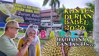 Kontes Durian BABEL 2020, hadiahnya fantastis' | Daftar pemenang Kontes Durian BABEL 2020