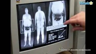 Full Body Scanner Images