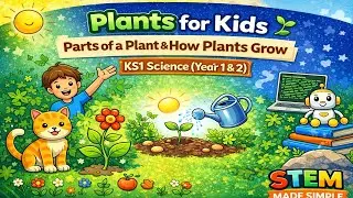 Plants for Kids 🌱 | Parts of a Plant & How Plants Grow | KS1 Science (Year 1 & 2)