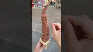 Smart Mookie eat ice cream 🍦 💍 #funny #shorts