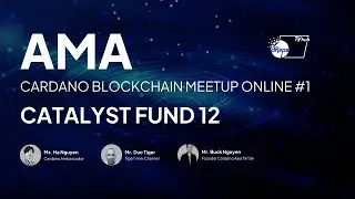 10 Cardano Blockchain Meetup Online #1   AMA Catalyst Fund 12