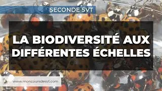 Les échelles de la biodiversité - Seconde SVT