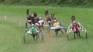 Ballabuidhe Sunday 03 08 2025 Race 8