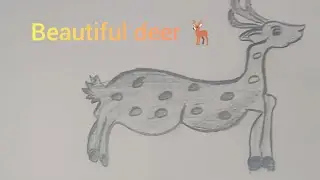 How draw beautiful deer 🦌 with sading #deer #art #drawing #shorts 