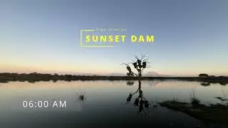 Early morning sounds at sunset dam, Kruger | 40 MIN