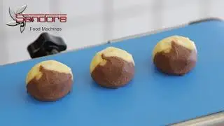 AGENIAA CO-EXTRUDEUSE A VIS PERFETTA