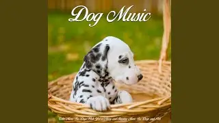 Calm Pet Music