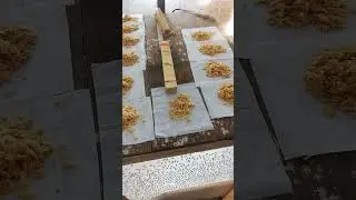 Bsf egg 500g indoor setup in Pakistan first time