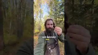 🔥 Вам не нужно покупать древесную шерсть