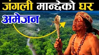 जंगली मान्छेको घर || Facts About the Amazon Rainforest || KNK ADVISE